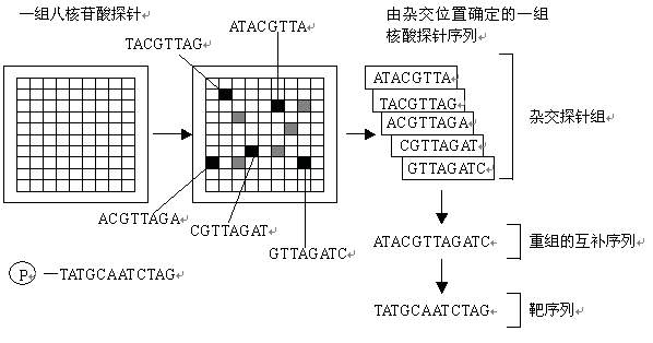 基因晶片的測序原理