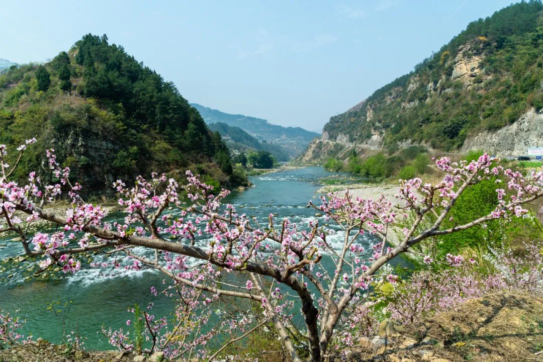 赤水河村