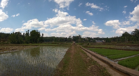 小足錄村