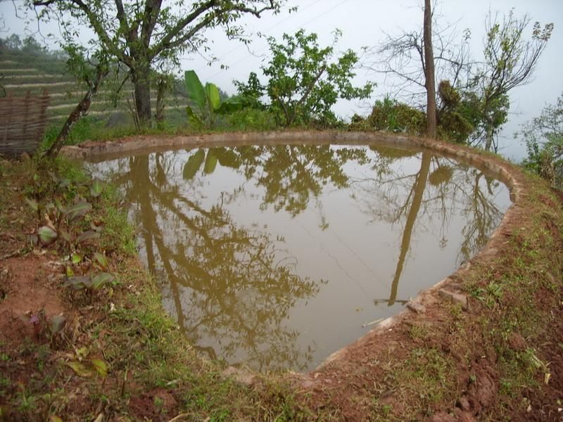 樹皮廠村