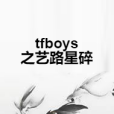 tfboys之藝路星碎