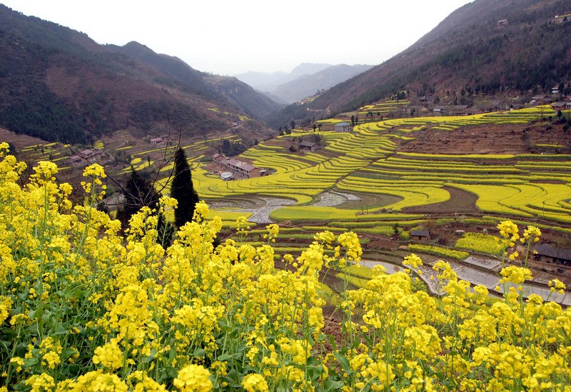 巴山鎮(寧強縣下轄鎮)