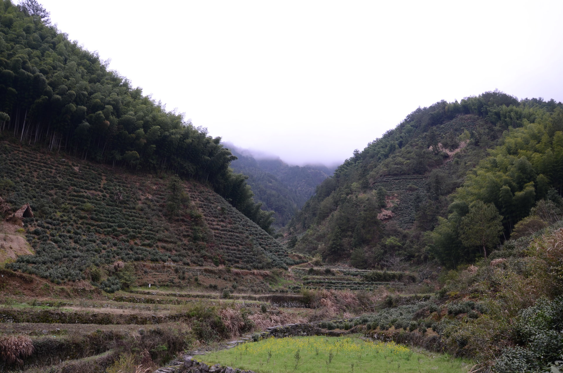 新田村(安徽省黃山市徽州區富溪鄉新田村)