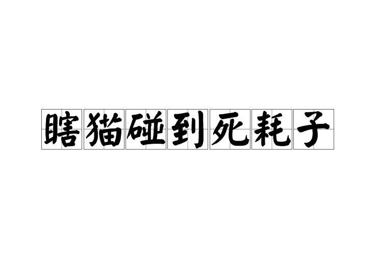 瞎貓碰到死耗子