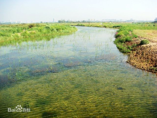 四道沙河