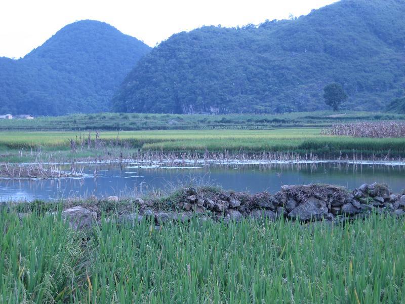 里用自然村