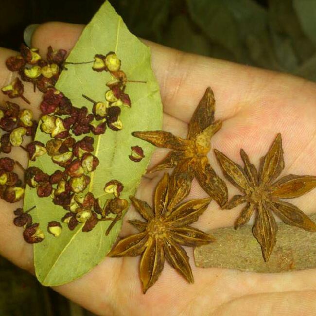 蜜餞滷雞爪