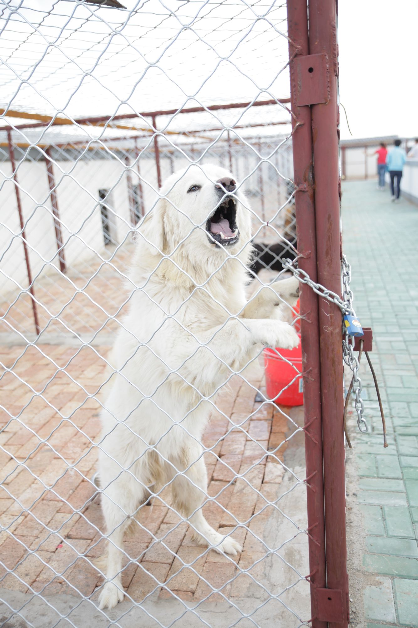 錫林郭勒草原遊牧風情園