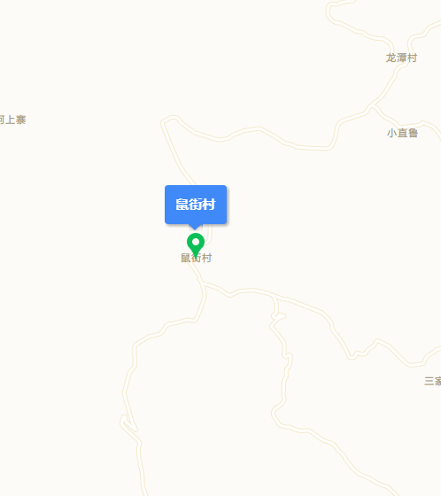 鼠街村(雲南省文山廣南縣黑支果鄉鼠街村)