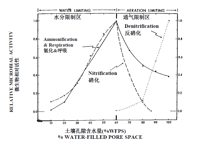 反硝化作用