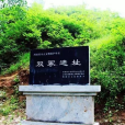 淮陽雙冢遺址