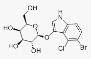 5-溴-4-氯-3-吲哚半乳糖苷