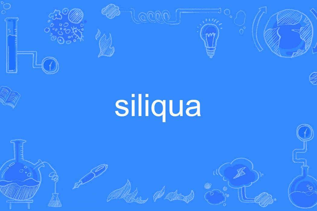 siliqua