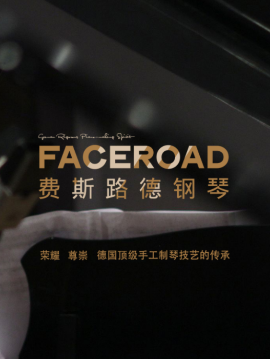 費斯路德FACEROAD