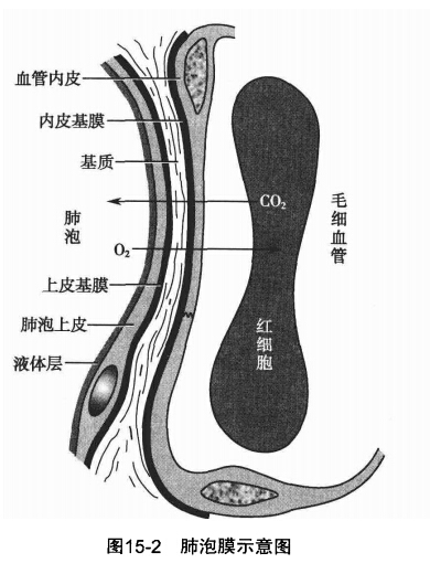 氣血屏障