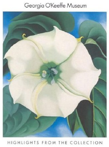 歐姬芙著名的花朵微觀畫作:畫冊封面