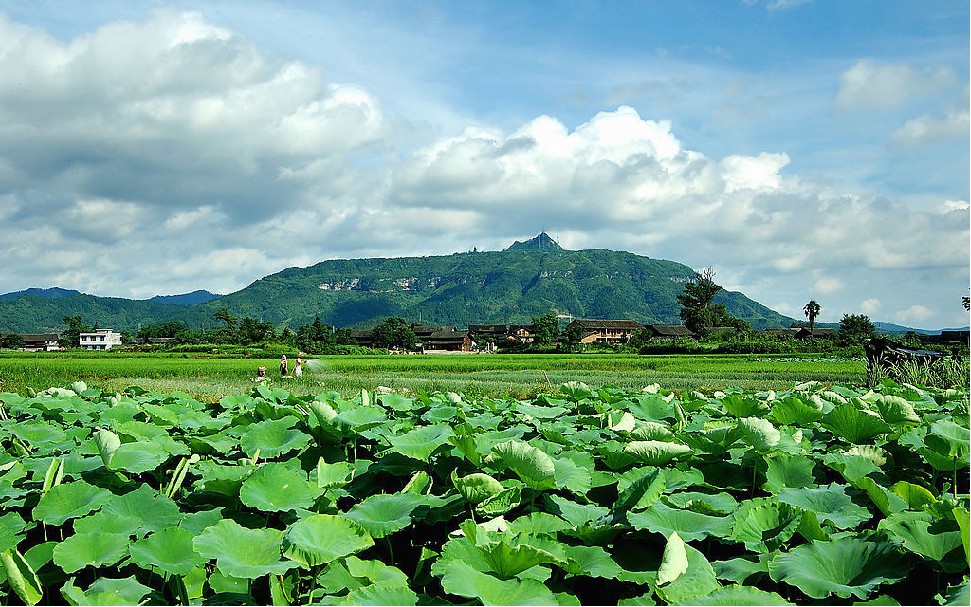 飛山寨