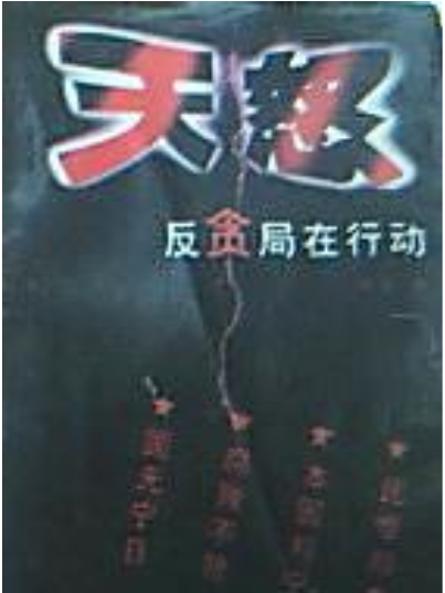 天怒(1997年遠方出版社出版的圖書)