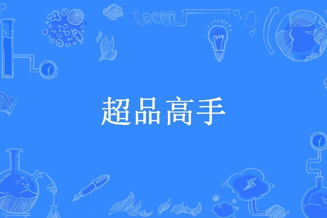 超品高手(憤怒的喜洋洋所著小說)