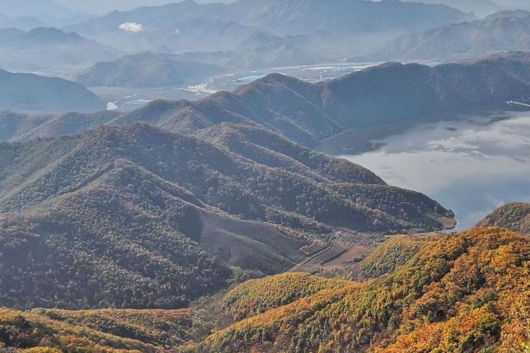 掃帚頂子山