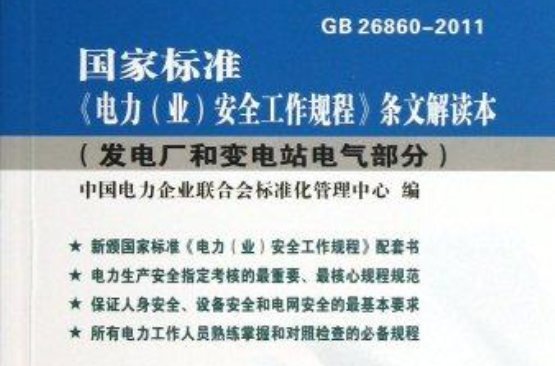 國家標準電力業安全工作規程條文解讀本