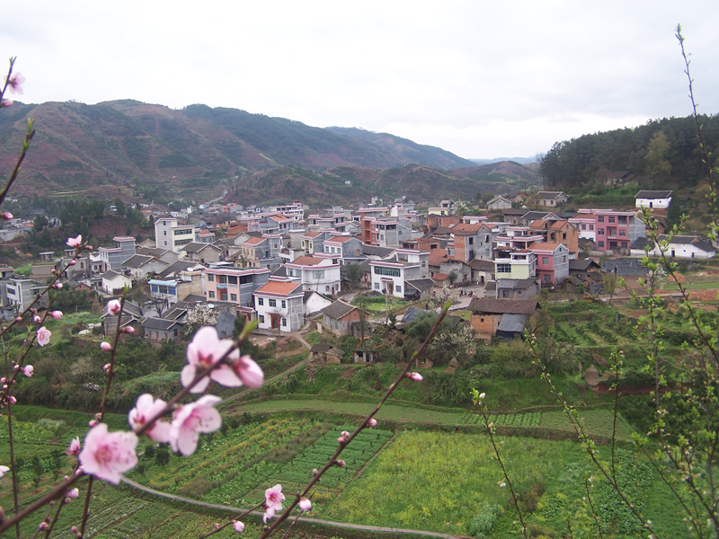 白泥田村