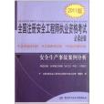 全國註冊安全工程師執業資格考試必讀必做：安全生產事故案例分析