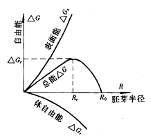 自發成核作用