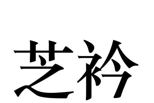 芝衿