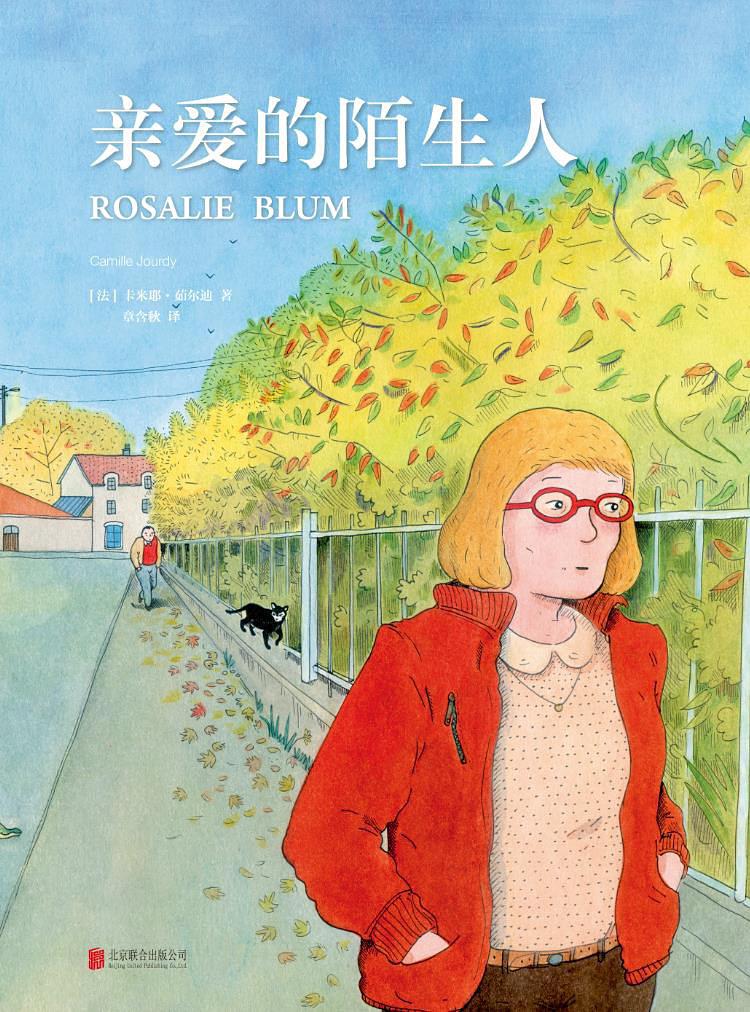 親愛的陌生人(卡米耶·茹爾迪創作小說)