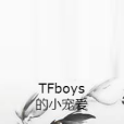 TFboys的小寵愛