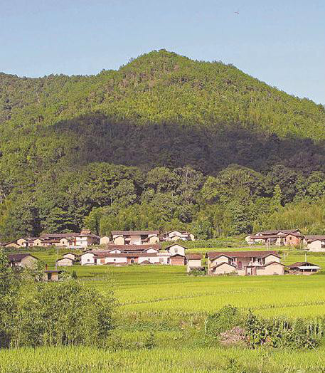 赤水鎮(福建省漳平市赤水鎮)