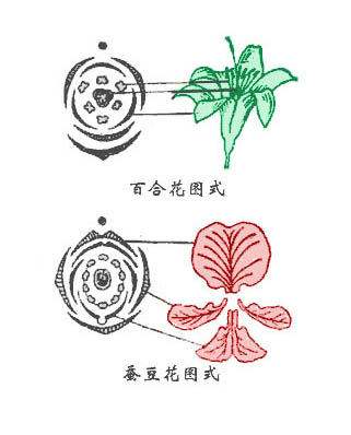 花圖式