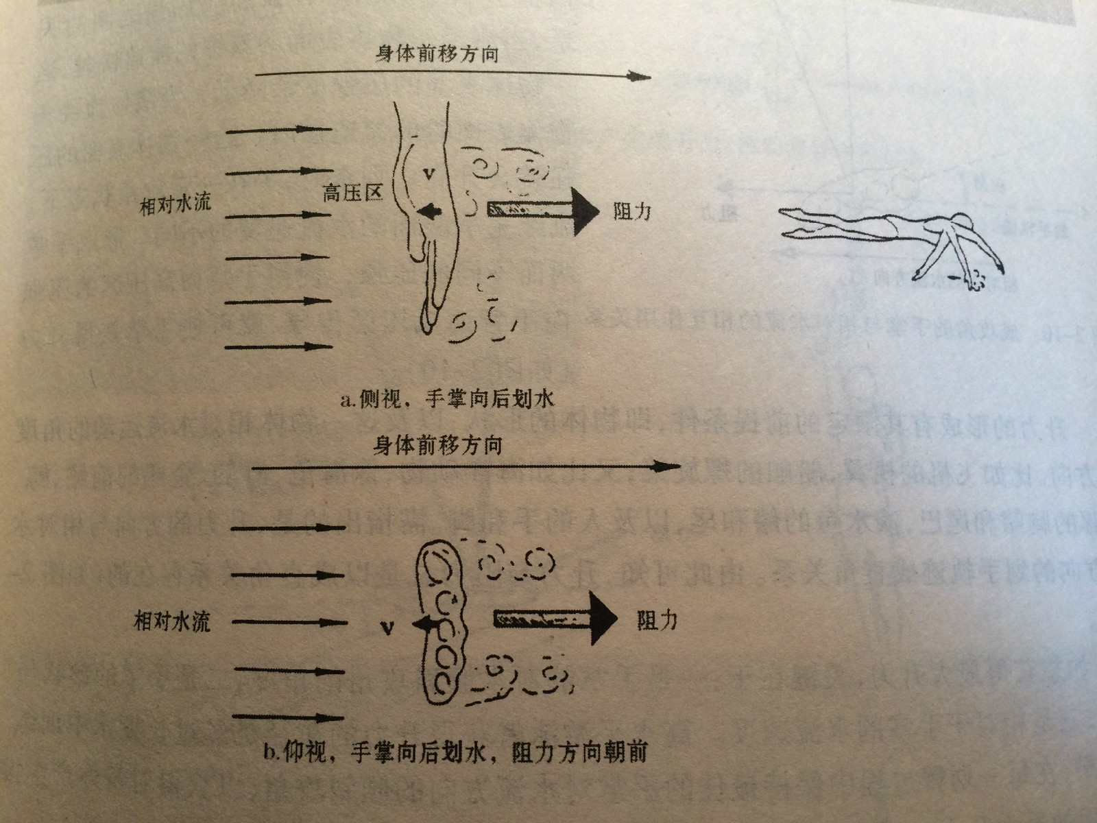 游泳推進力