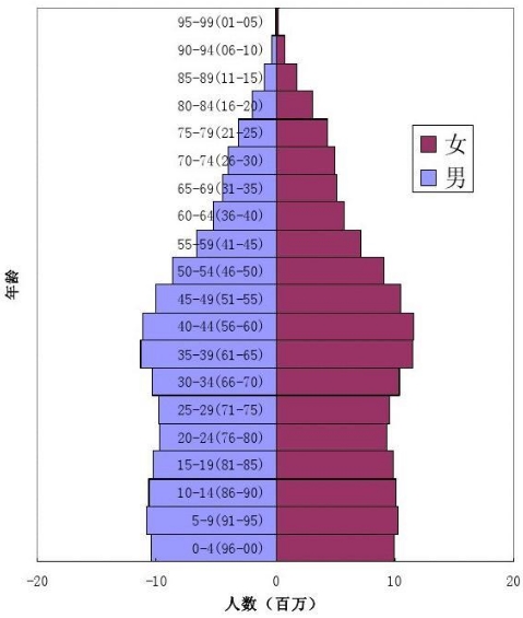 年齡金字塔