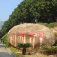 江會遊樂園