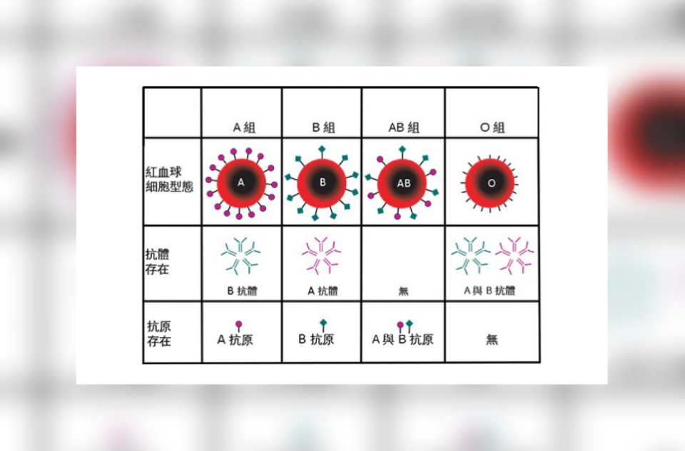 Rh陽性血型