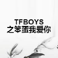 TFBOYS之笨蛋我愛你