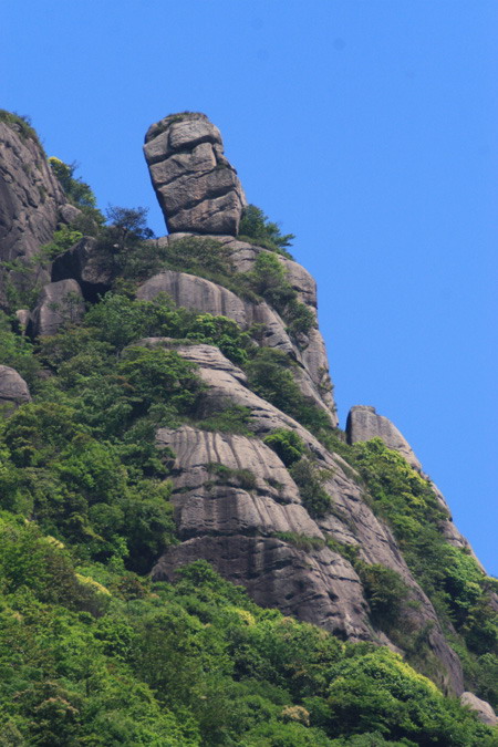 浮蓋山鐘石