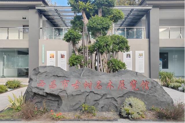 西昌市古樹名木展覽館