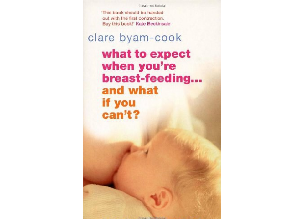 what to expect when you are breast-feeding...and what if you cant?