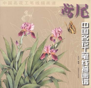 鳶尾/中國名花工筆線描畫譜