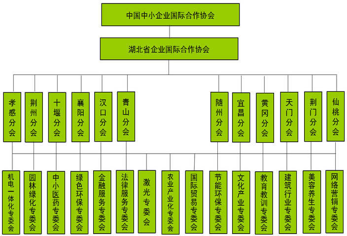 湖北省企業國際合作協會