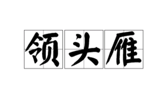 領頭雁(詞語)