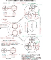 中高能核物理