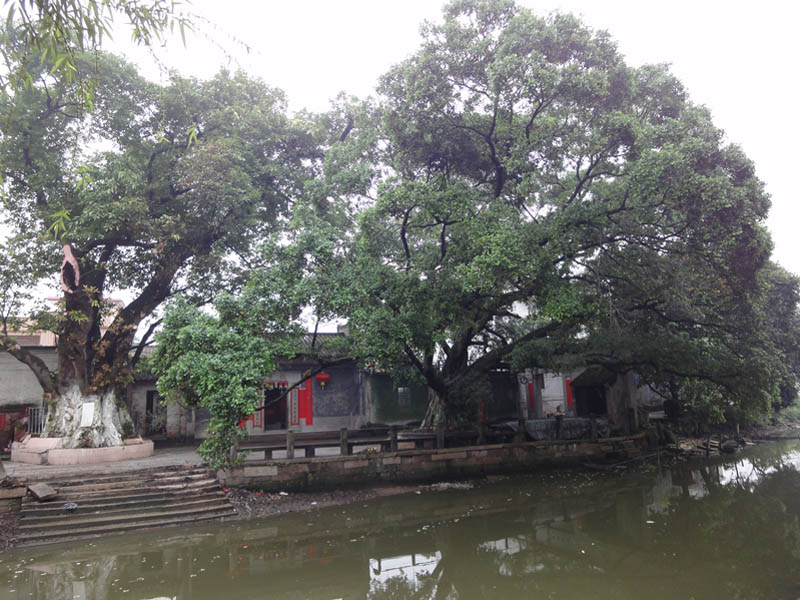 北水村(山東省東營市廣饒縣李鵲鎮下轄村)