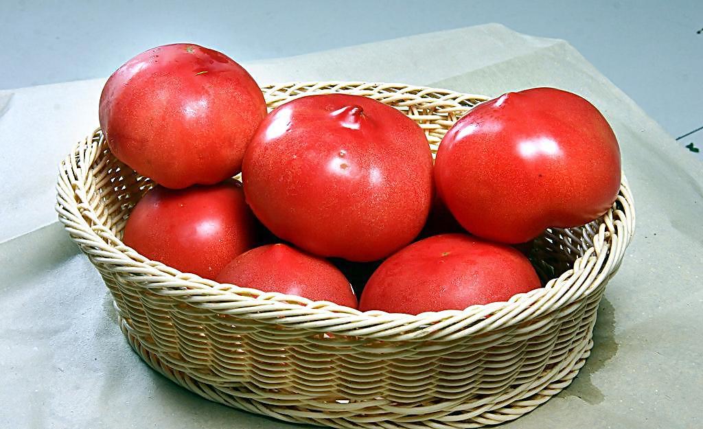 東海西紅柿