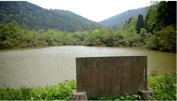 雲湖森林公園