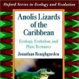 Anolis Lizards of the Caribbean