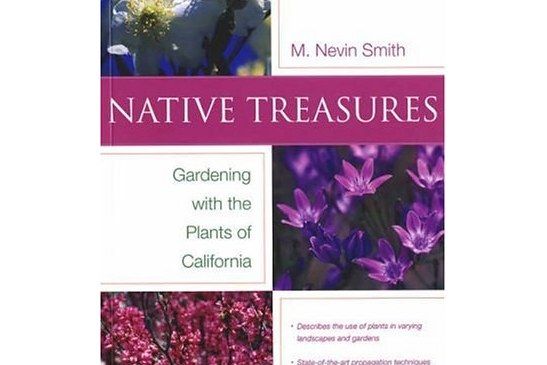 Native Treasures